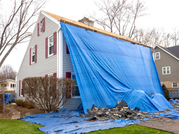 Best Hoarding Cleanup  in Lynbrook, NY